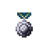Medal of valor.PNG